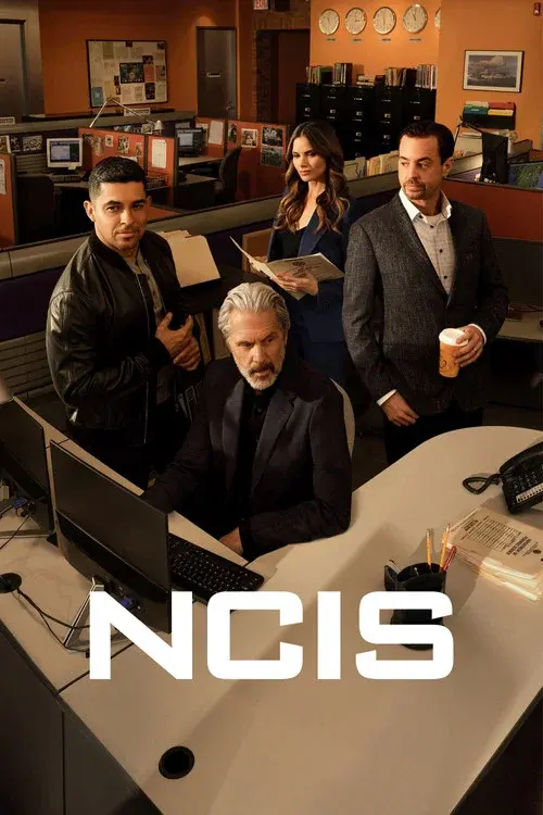 NCIS afişi